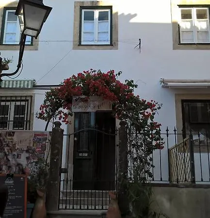 Casas Do Patio Sem Cantigas 3 Lägenhet *